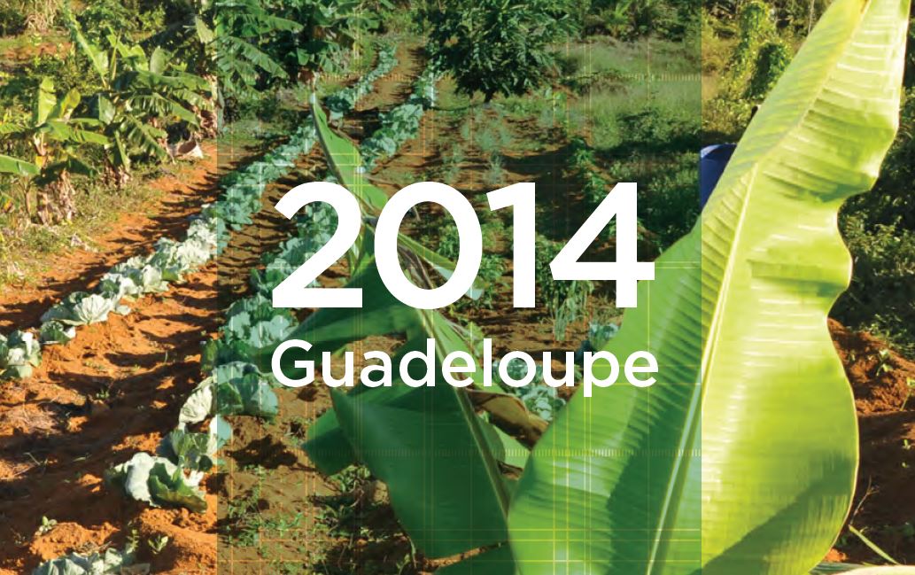 Rapport annuel de l’IEDOM -  Situation économique de la Guadeloupe - 2014